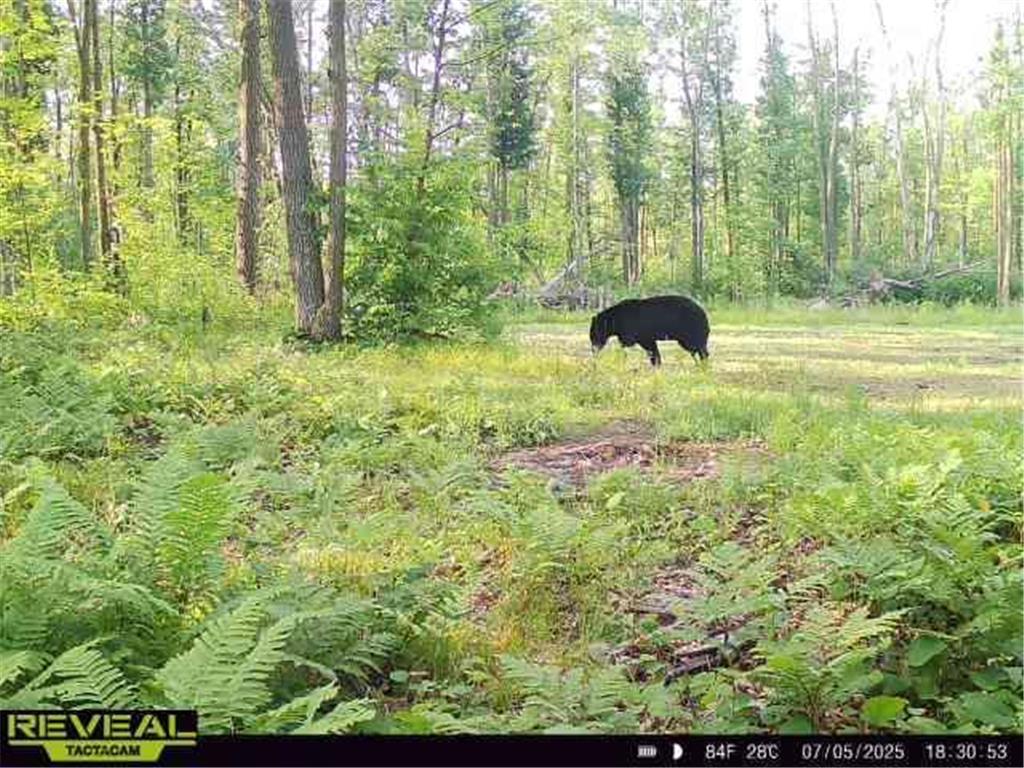 XXX 60th Ave Isle Harbor Twp MN 56386 6782977 image16