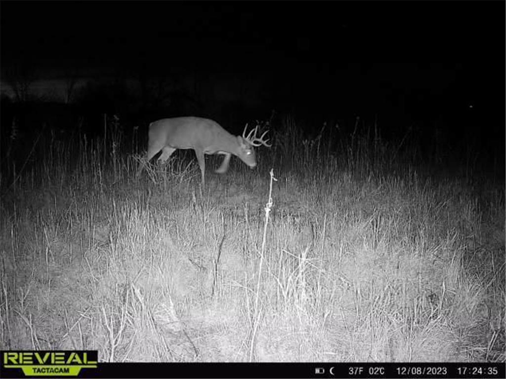 XXX 60th Ave Isle Harbor Twp MN 56386 6782977 image17