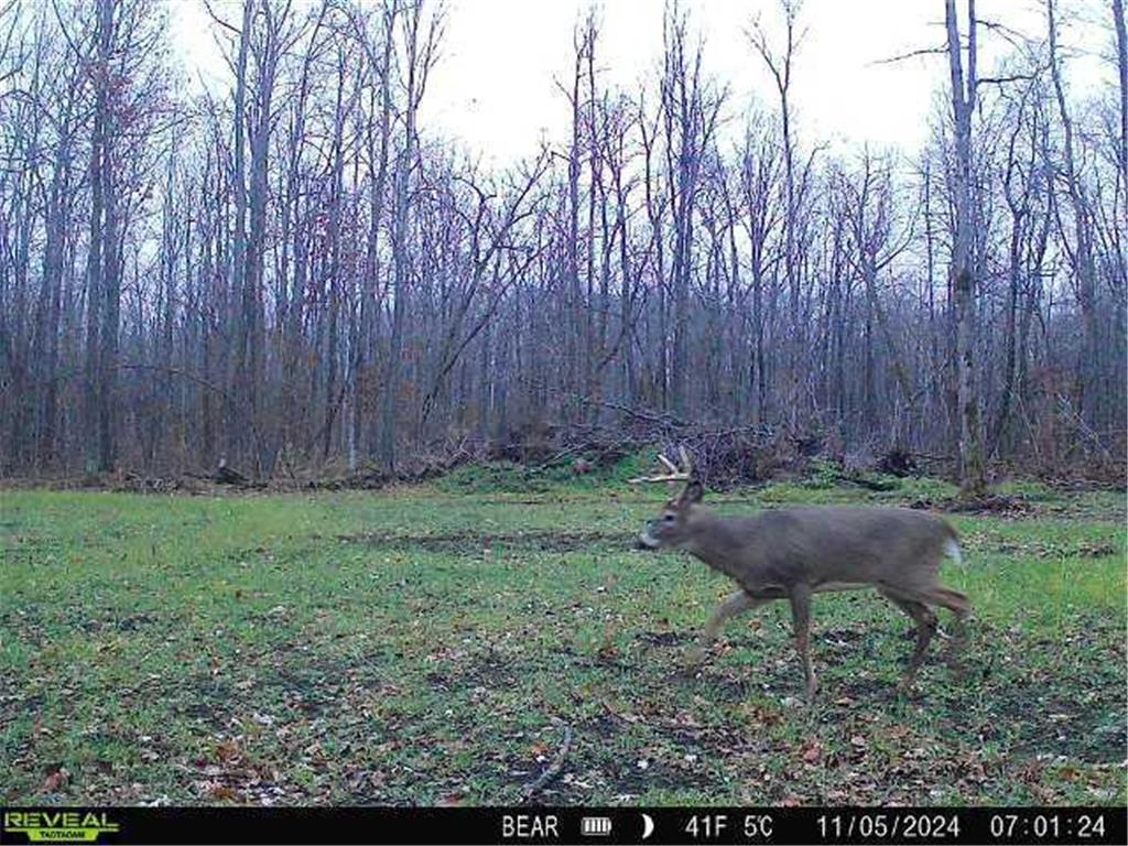 XXX 60th Ave Isle Harbor Twp MN 56386 6782977 image18