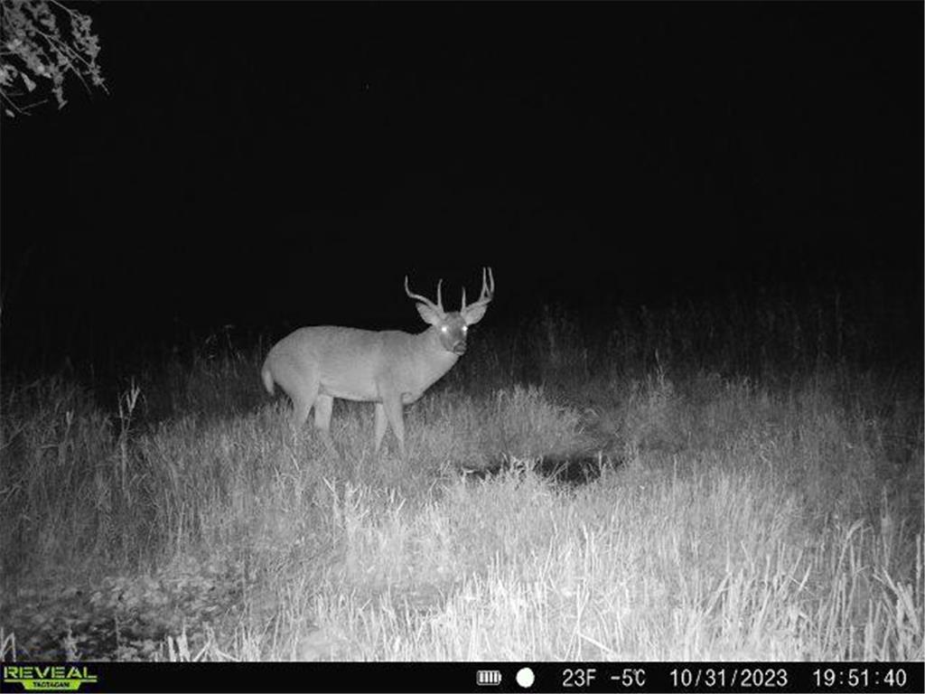 XXX 60th Ave Isle Harbor Twp MN 56386 6782977 image19