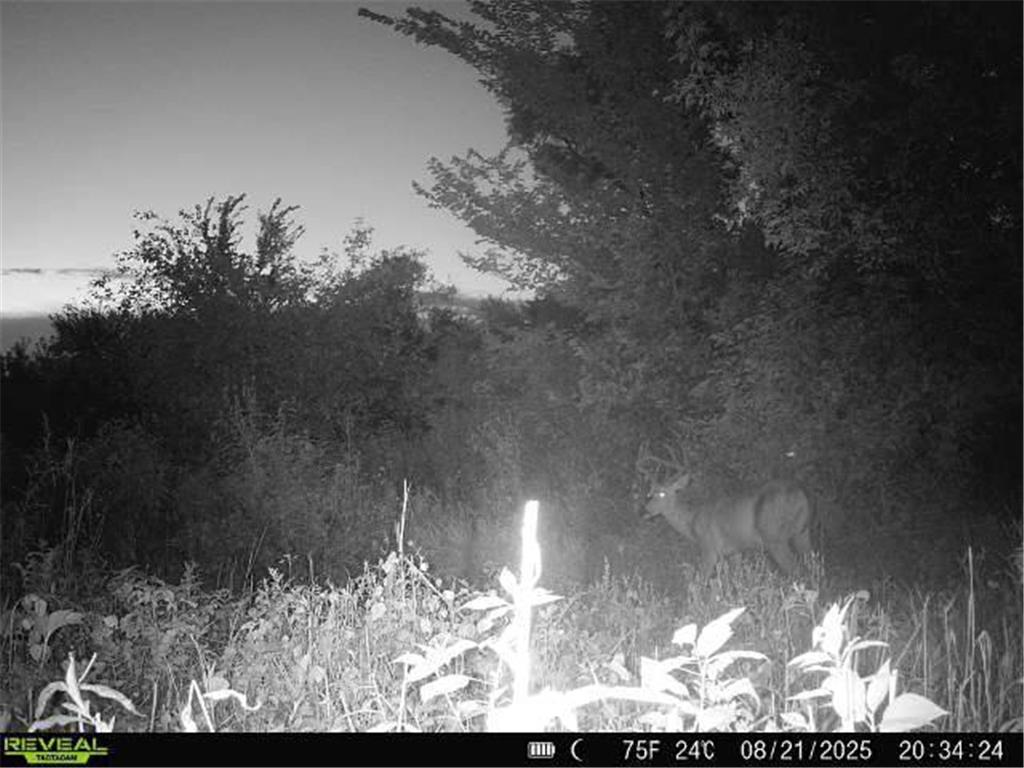 XXX 60th Ave Isle Harbor Twp MN 56386 6782977 image20