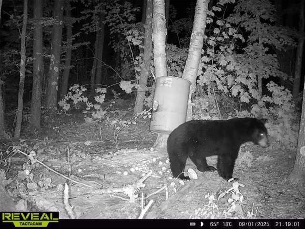 XXX 60th Ave Isle Harbor Twp MN 56386 6782977 image21