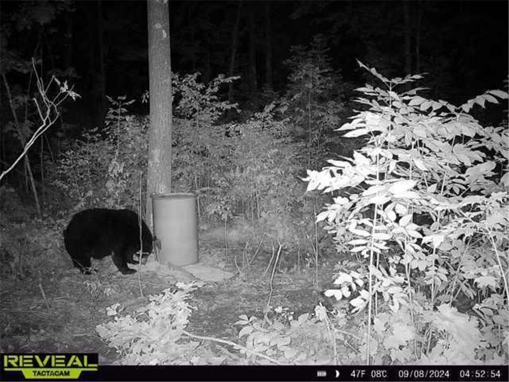 XXX 60th Ave Isle Harbor Twp MN 56386 6782977 image22