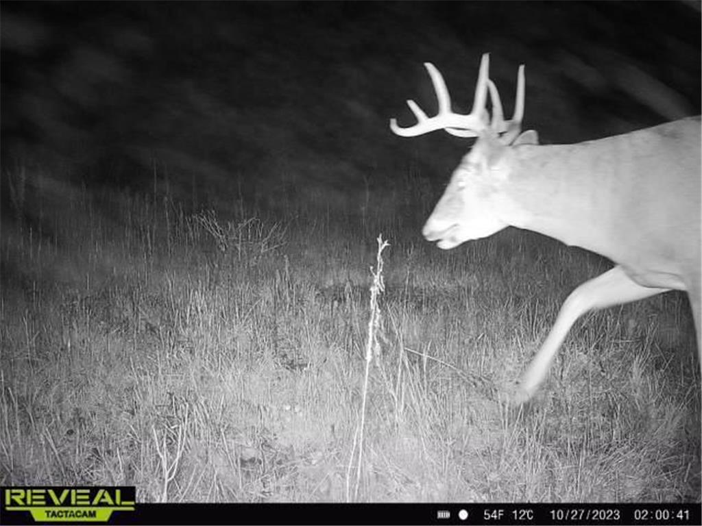 XXX 60th Ave Isle Harbor Twp MN 56386 6782977 image23