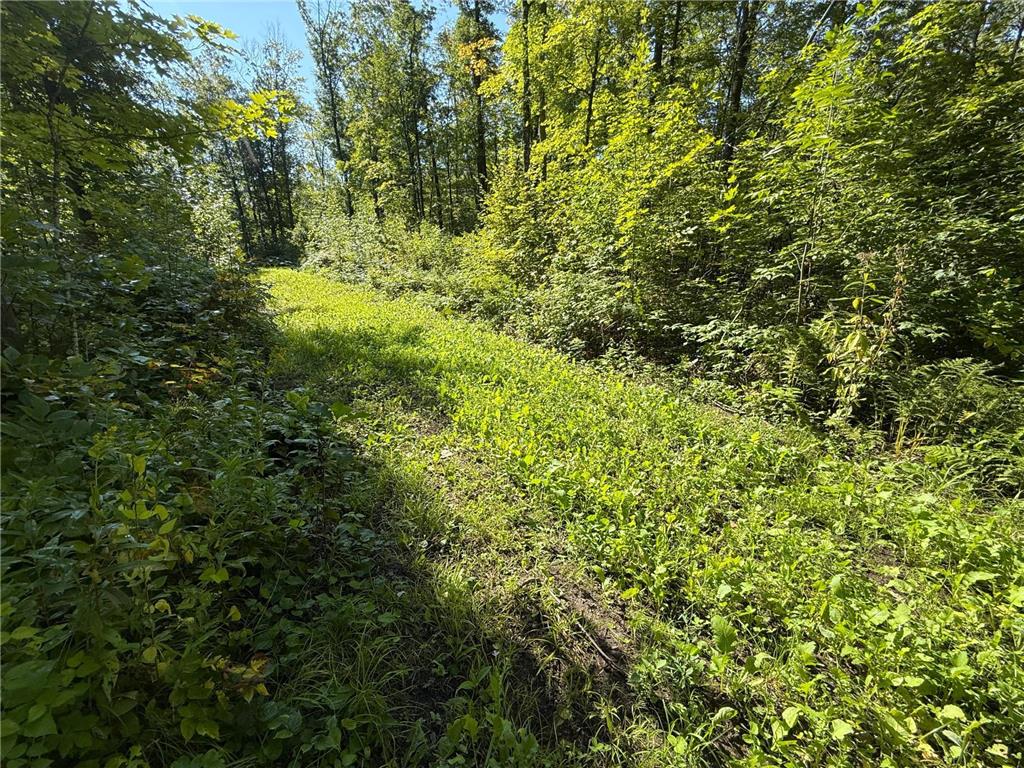 XXX 60th Ave Isle Harbor Twp MN 56386 6782977 image26