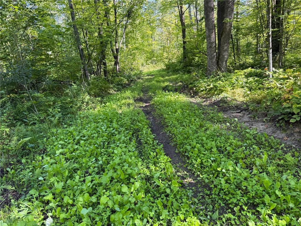 XXX 60th Ave Isle Harbor Twp MN 56386 6782977 image27