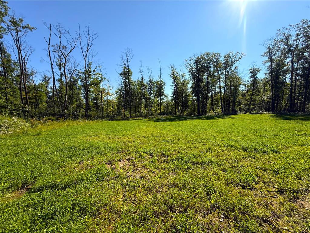 XXX 60th Ave Isle Harbor Twp MN 56386 6782977 image29