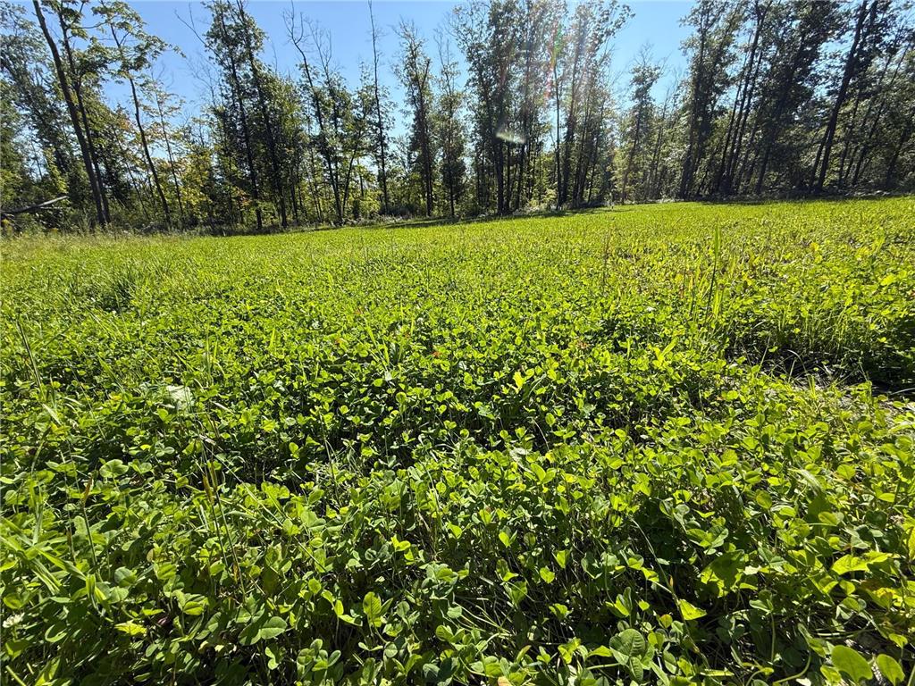 XXX 60th Ave Isle Harbor Twp MN 56386 6782977 image30