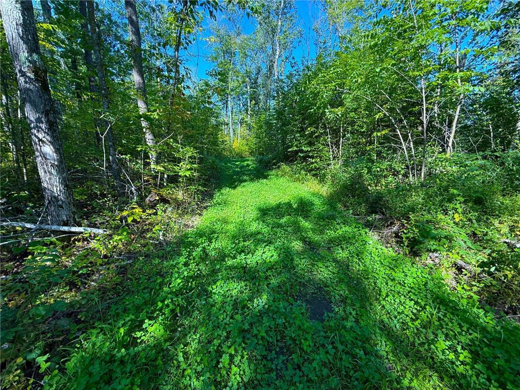 XXX 60th Ave Isle Harbor Twp MN 56386 6782977 image31