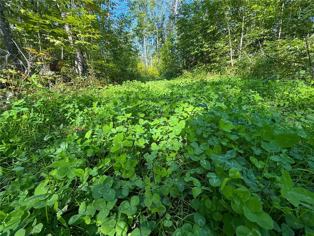 XXX 60th Ave Isle Harbor Twp MN 56386 6782977 image32