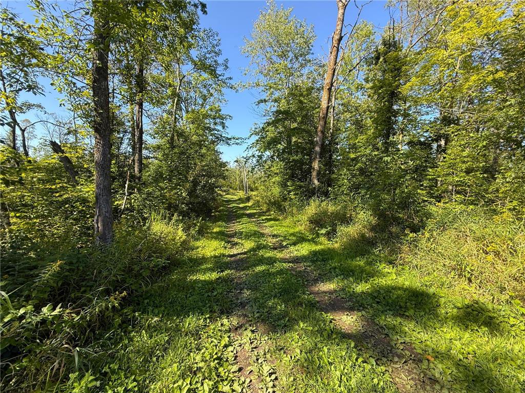 XXX 60th Ave Isle Harbor Twp MN 56386 6782977 image38