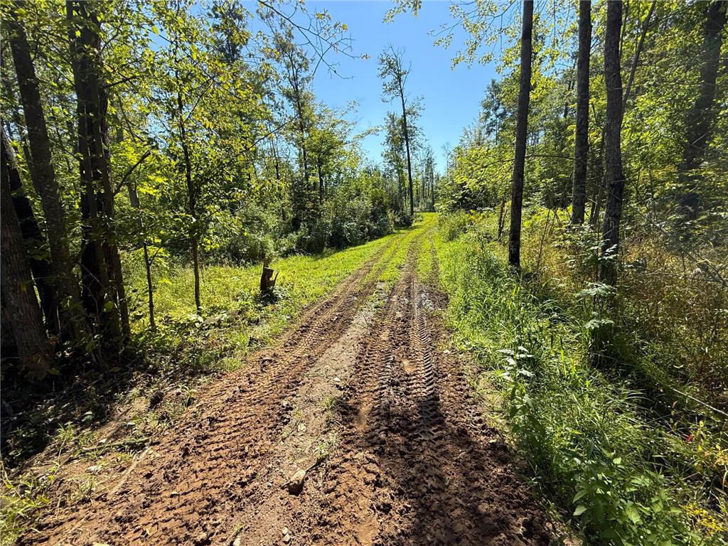 XXX 60th Ave Isle Harbor Twp MN 56386 6782977 image41