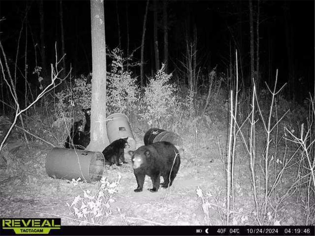 XXX 60th Ave Isle Harbor Twp MN 56386 6782977 image47