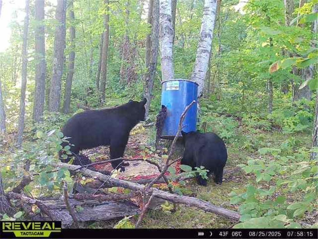 XXX 60th Ave Isle Harbor Twp MN 56386 6782977 image48