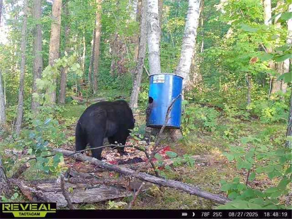 XXX 60th Ave Isle Harbor Twp MN 56386 6782977 image49