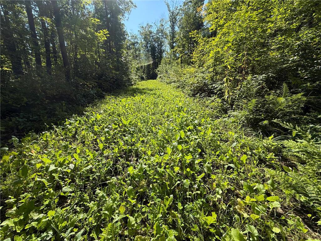 XXX 60th Ave Isle Harbor Twp MN 56386 6782977 image5