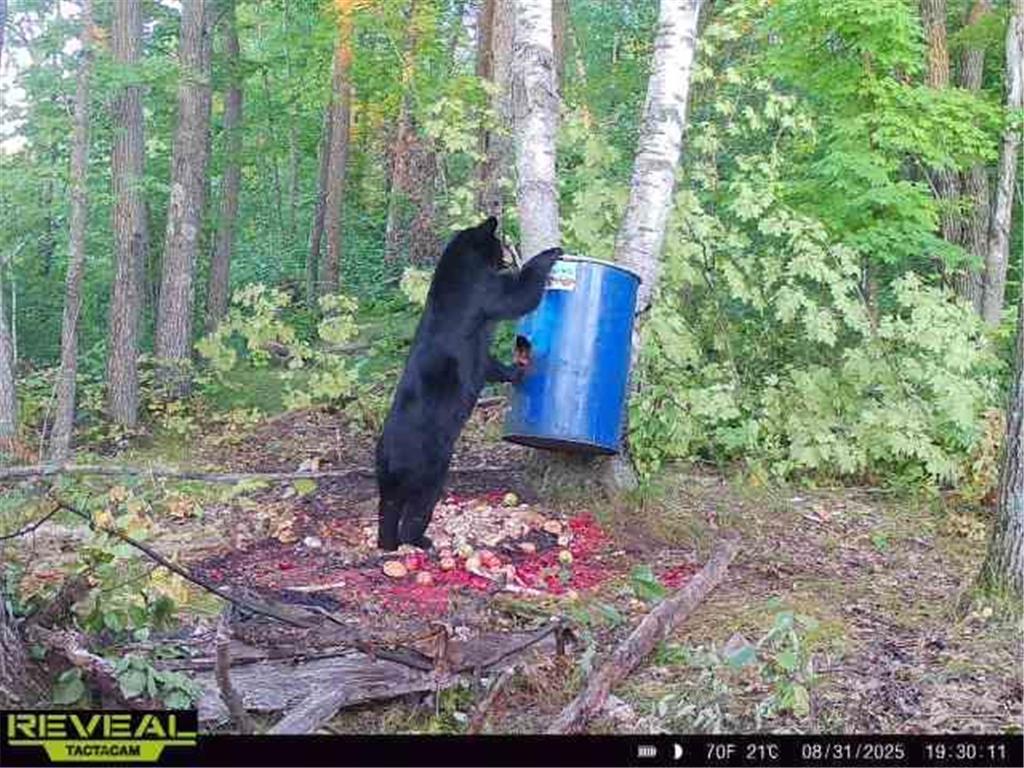 XXX 60th Ave Isle Harbor Twp MN 56386 6782977 image50