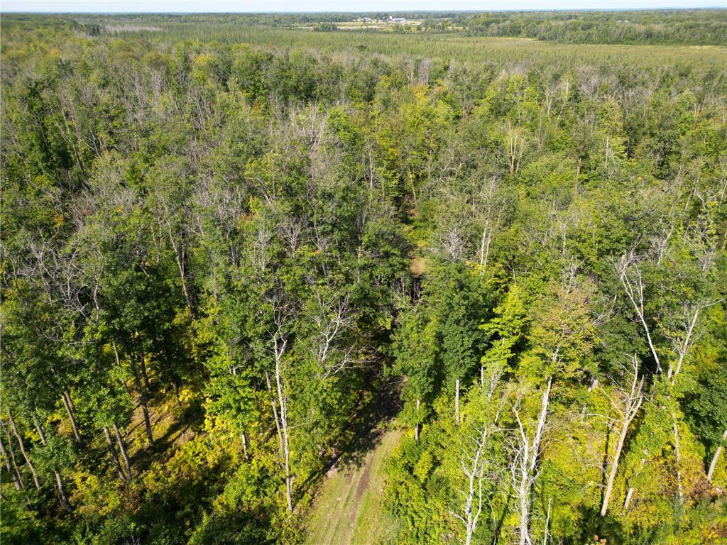 XXX 60th Ave Isle Harbor Twp MN 56386 6782977 image53