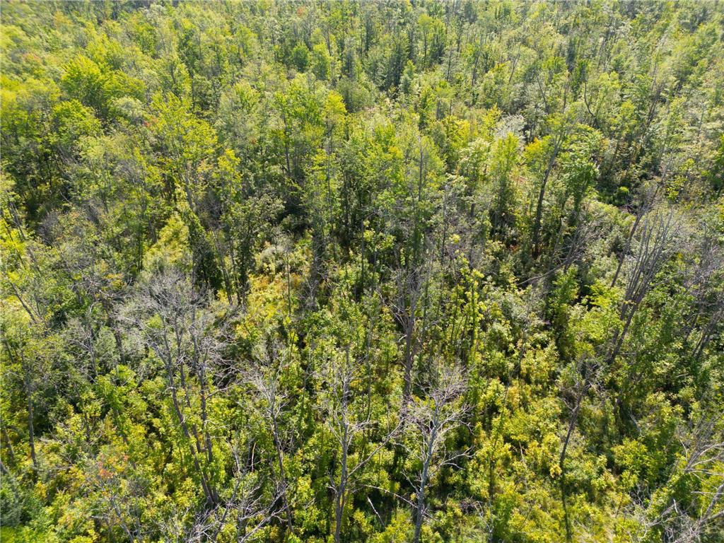 XXX 60th Ave Isle Harbor Twp MN 56386 6782977 image57