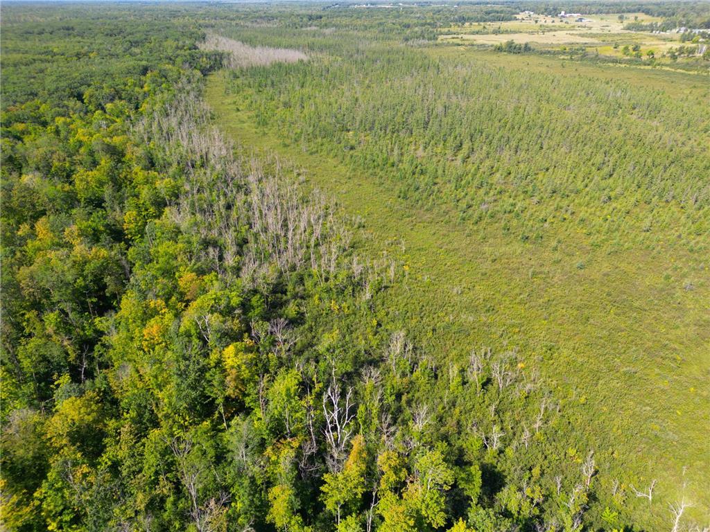 XXX 60th Ave Isle Harbor Twp MN 56386 6782977 image59