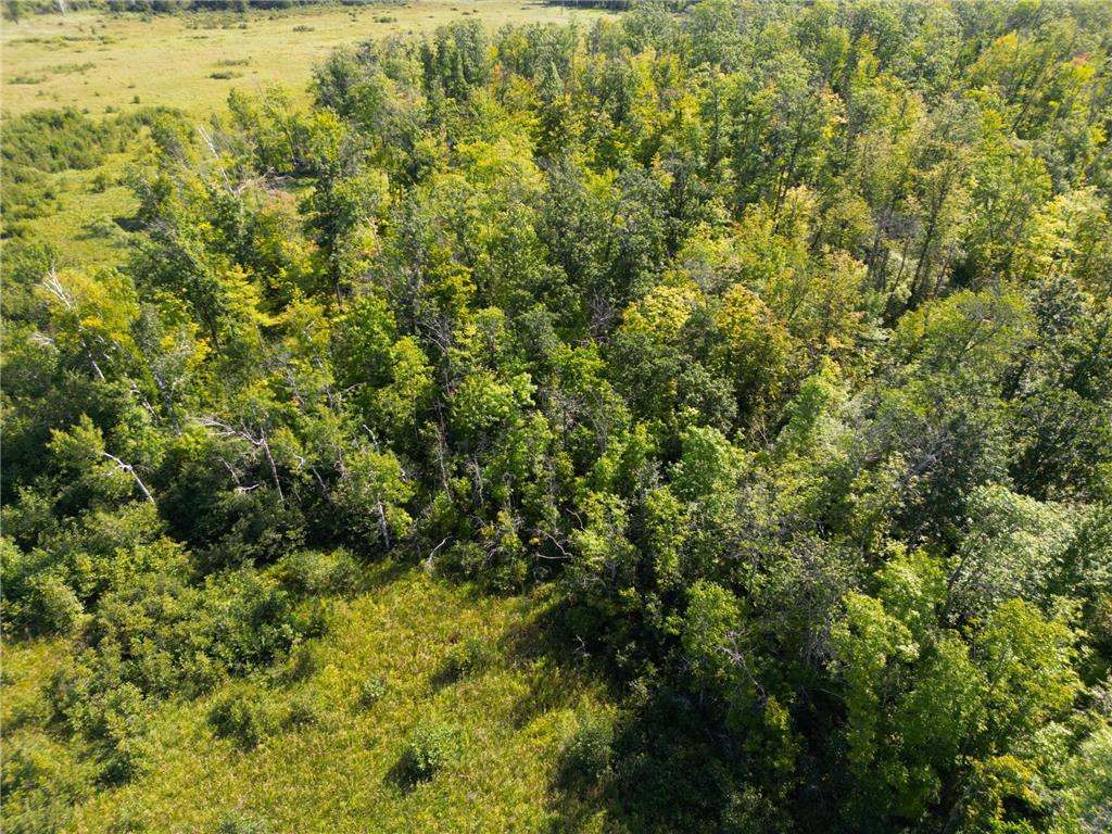 XXX 60th Ave Isle Harbor Twp MN 56386 6782977 image63