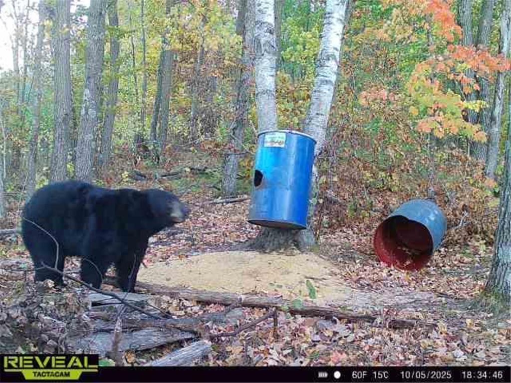 XXX 60th Ave Isle Harbor Twp MN 56386 6782977 image71