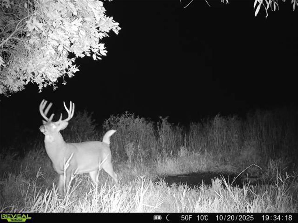 XXX 60th Ave Isle Harbor Twp MN 56386 6782977 image72