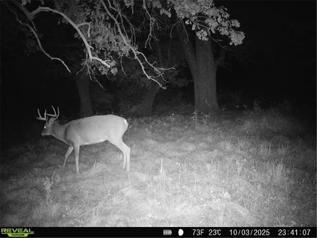 XXX 60th Ave Isle Harbor Twp MN 56386 6782977 image73