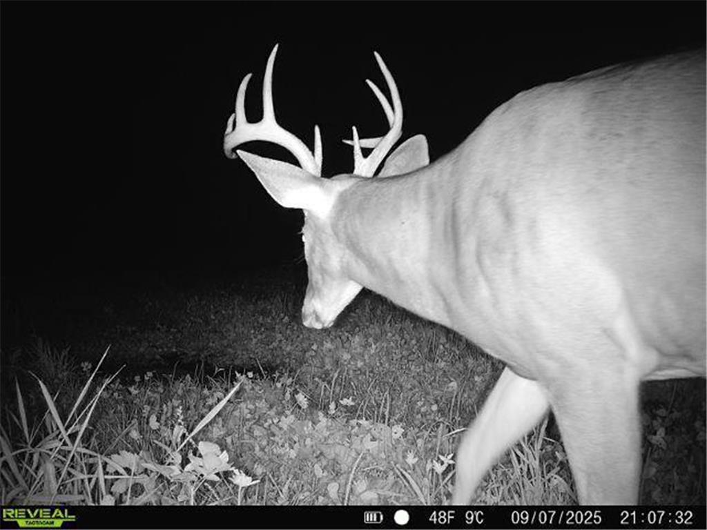 XXX 60th Ave Isle Harbor Twp MN 56386 6782977 image74