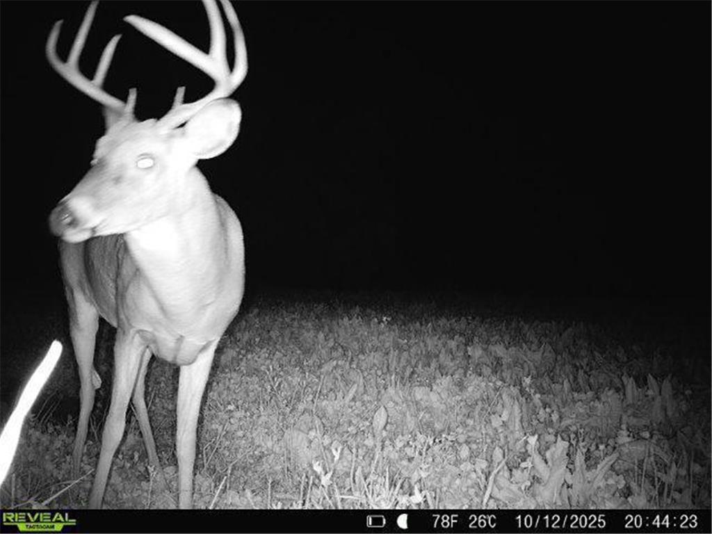 XXX 60th Ave Isle Harbor Twp MN 56386 6782977 image75