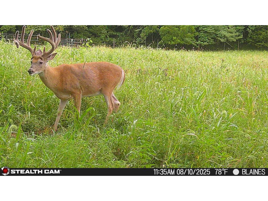 XXX 60th Ave Isle Harbor Twp MN 56386 6782977 image8