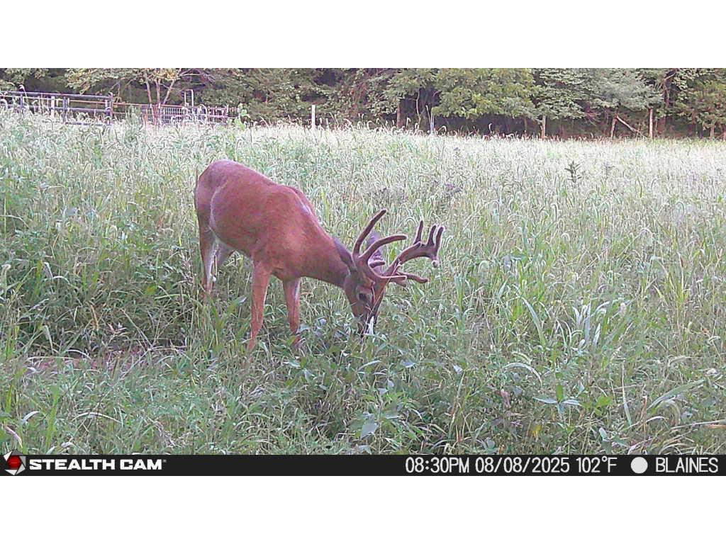 XXX 60th Ave Isle Harbor Twp MN 56386 6782977 image9