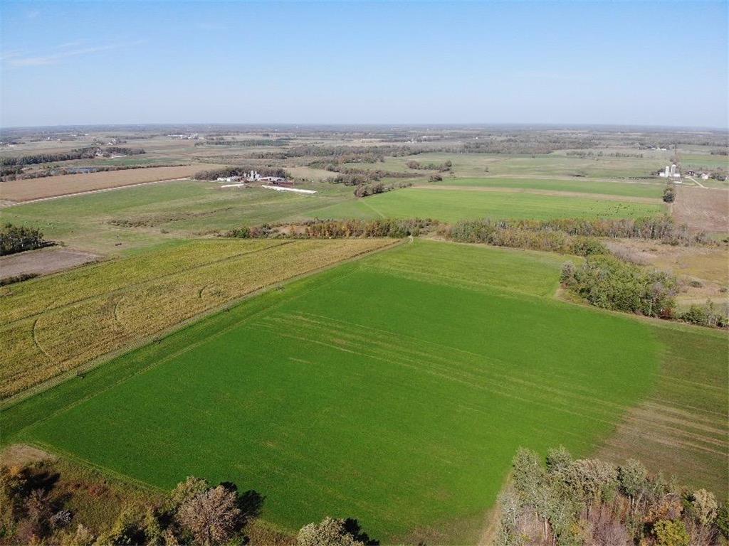 XXX 610th Avenue Bluffton Twp MN 56518 6686031 image1