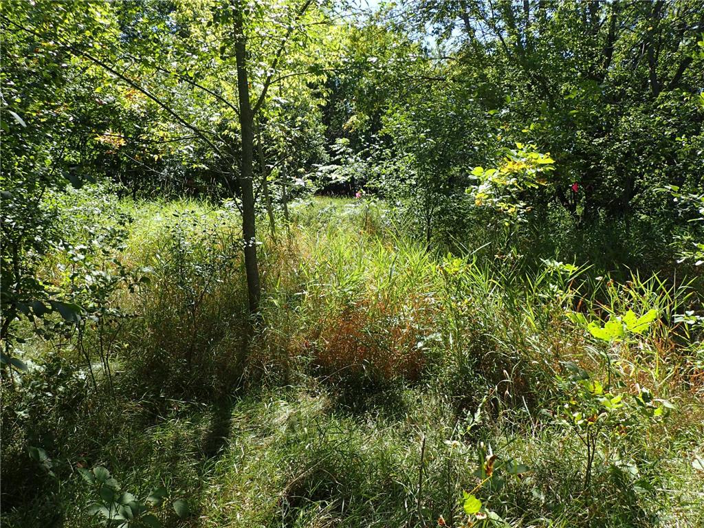 XXX 65th Street SW Howard Lake MN 55349 6372901 image1