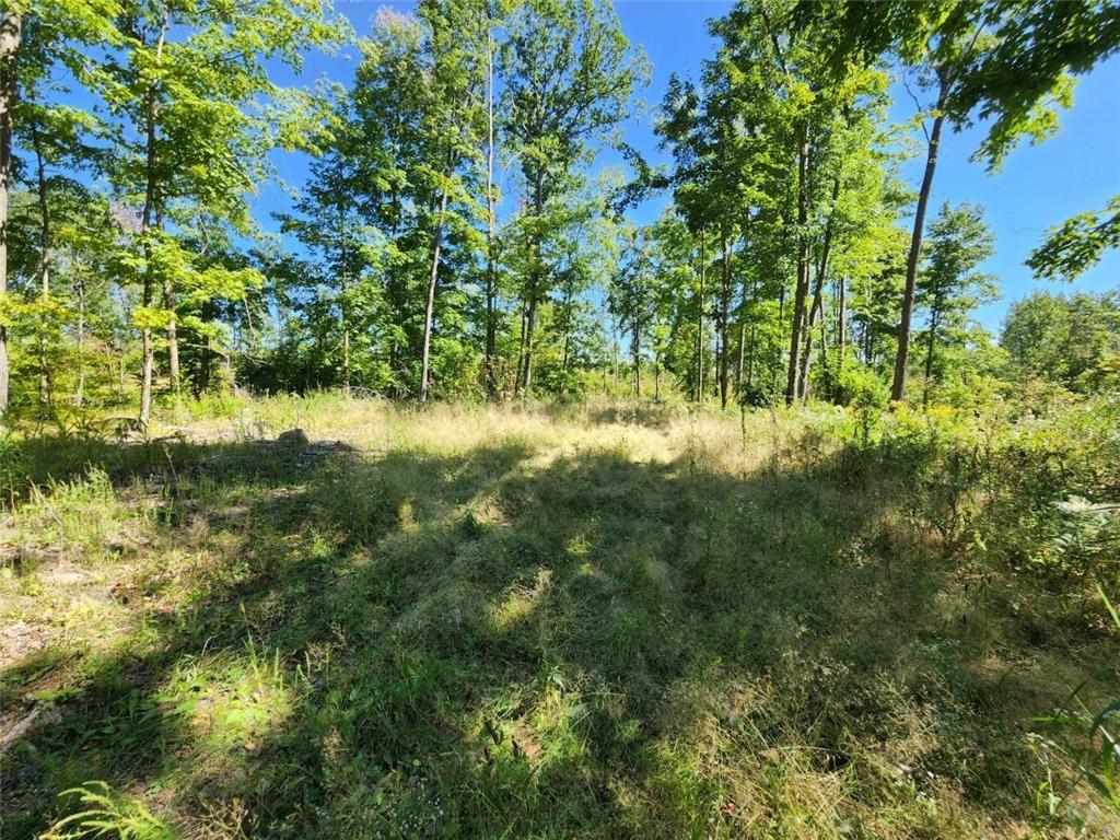 XXX 70th Street, Apple River Twp, WI, 54810 MLS 6257892 Edina Realty