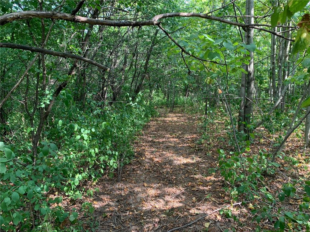 XXX 75th Avenue Osceola WI 54009 6556753 image1