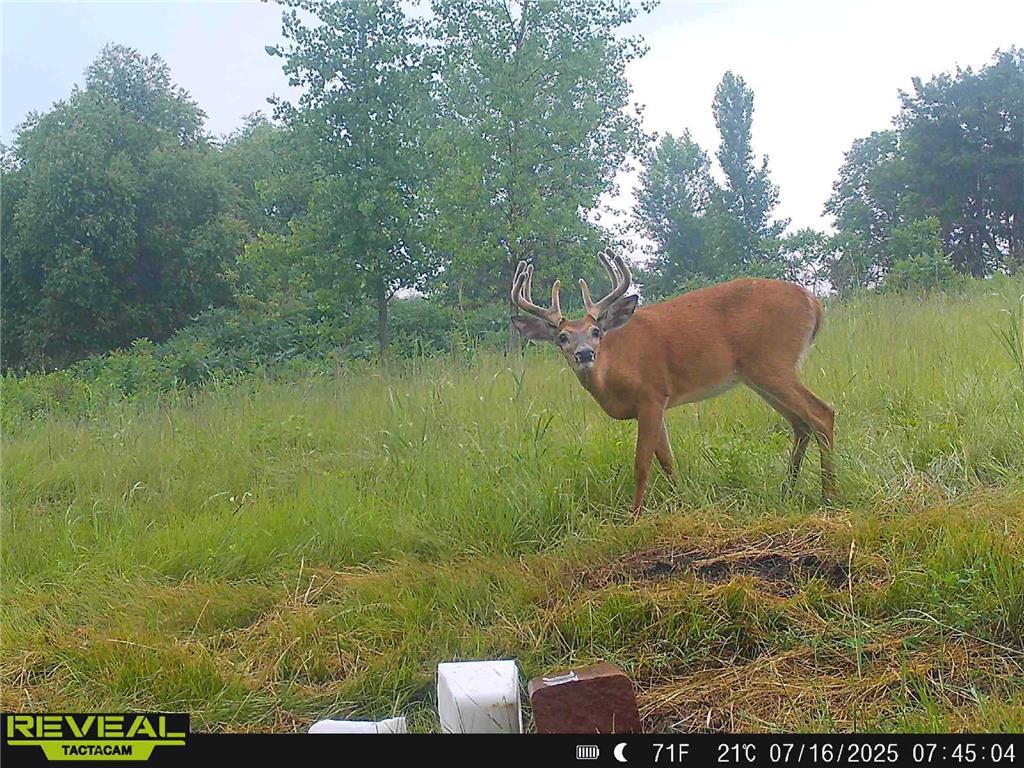 XXX 782nd Ave Glenville MN 56036 6755122 image1