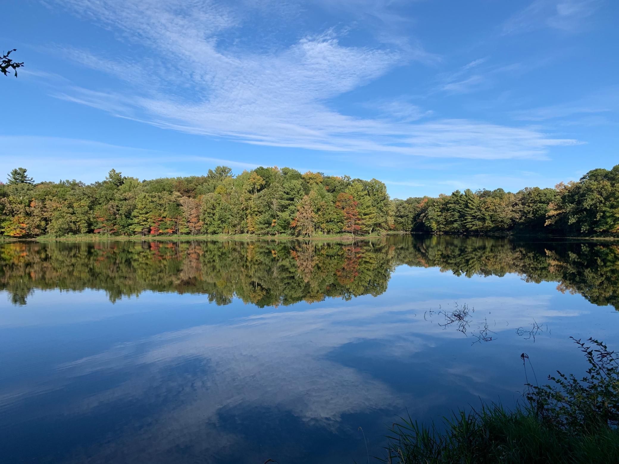 XXX 85th St., Amery, WI, 54001 MLS 6136825 Edina Realty