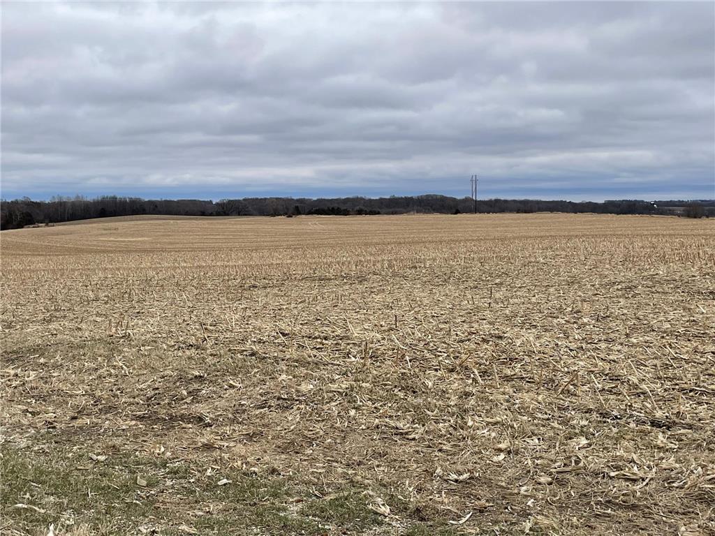 XXX 87th Street SE Stewartville MN 55976 6697691 image1