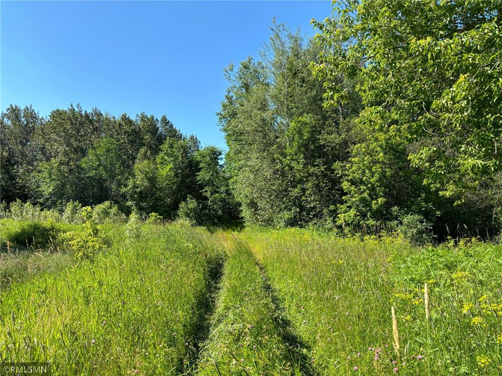 XXX Access Road Aitkin MN 56431 6564069 image1