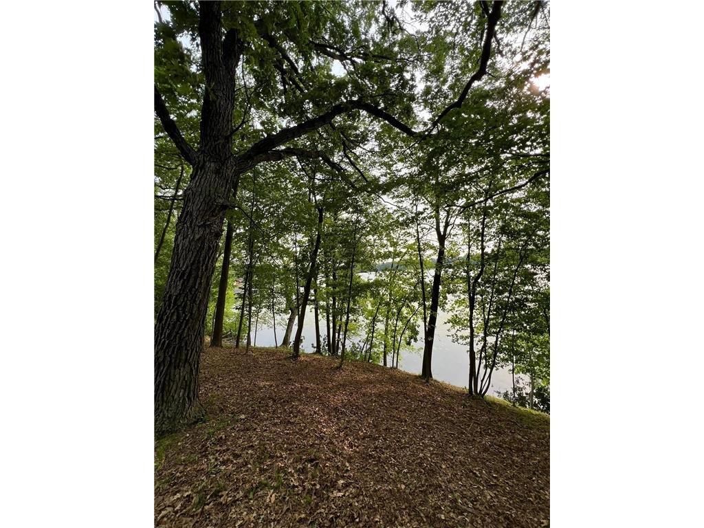 XXX Acorn Road Burtrum MN 56318 - Pine 7019776 image1