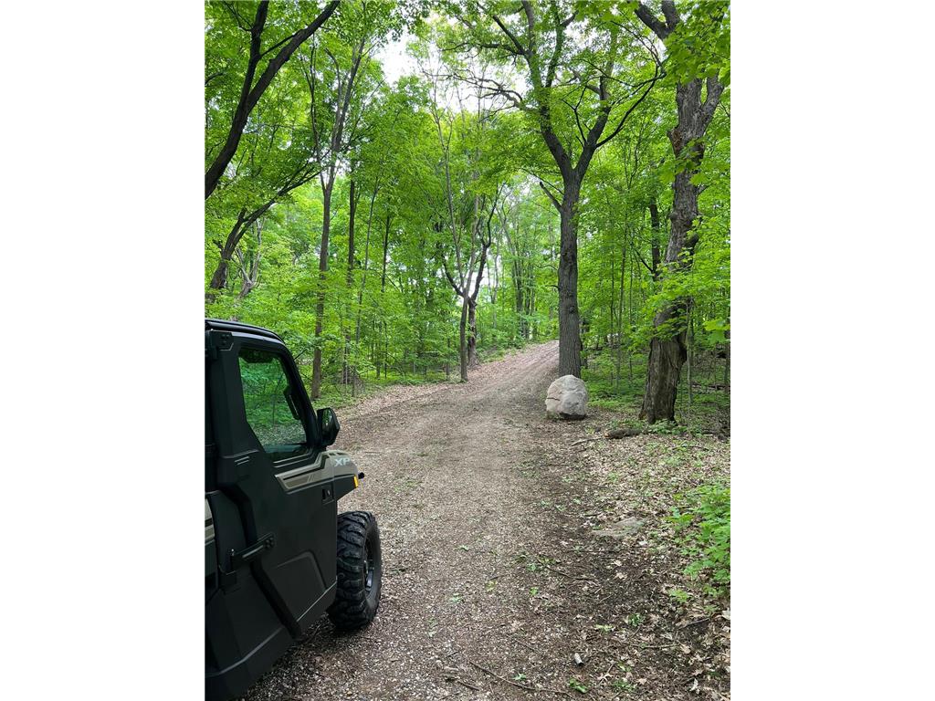 XXX Acorn Road Burtrum MN 56318 - Pine 7019776 image3