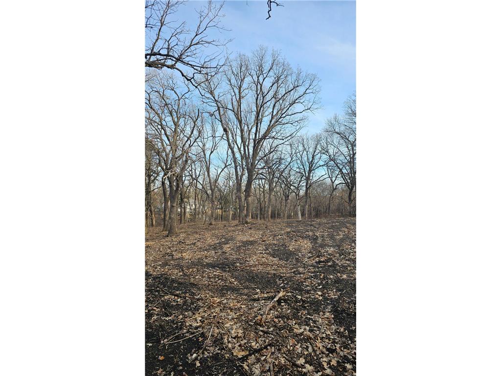 XXX Adair Buffalo MN 55313 6684092 image1