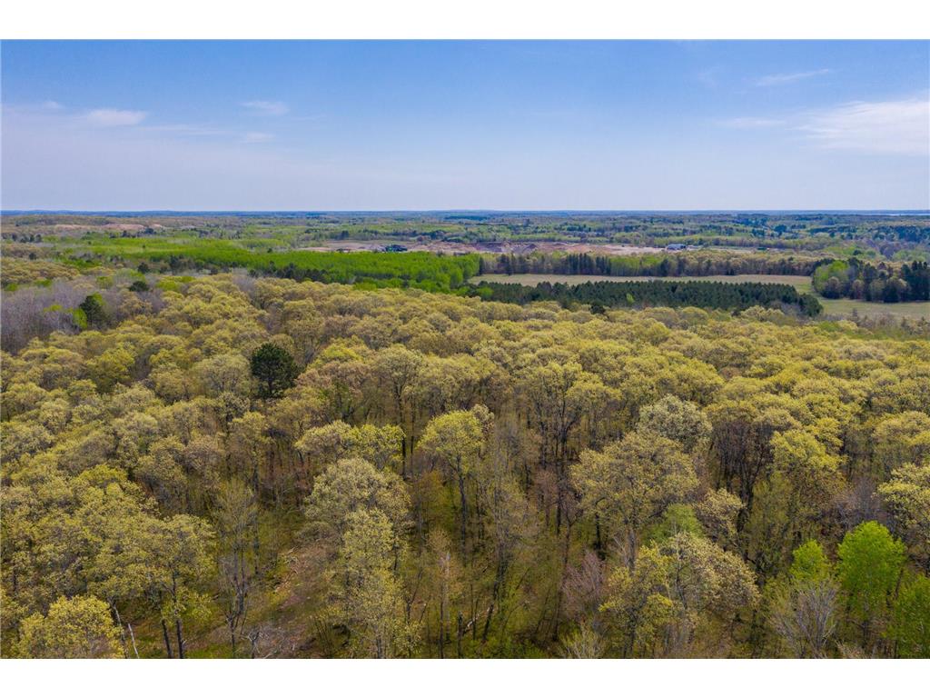 XXX Akerson Rd Pequot Lakes MN 56472 6686314 image1