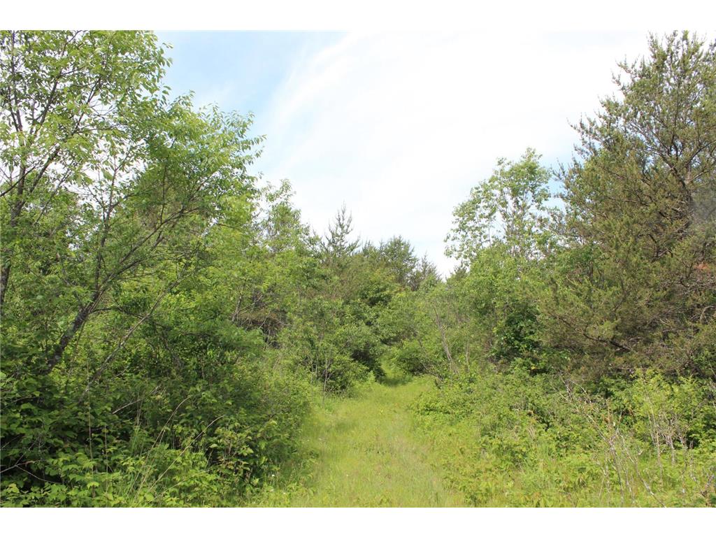 XXX Anderson Road Grantsburg WI 54840 7003587 image13