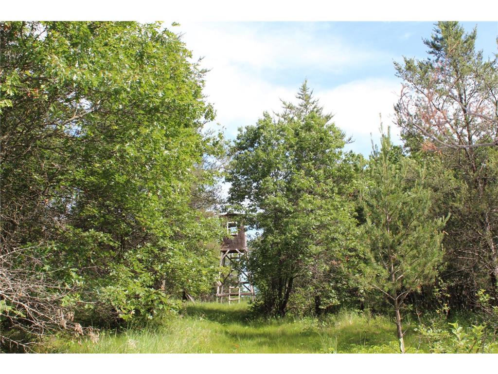 XXX Anderson Road Grantsburg WI 54840 7003587 image18