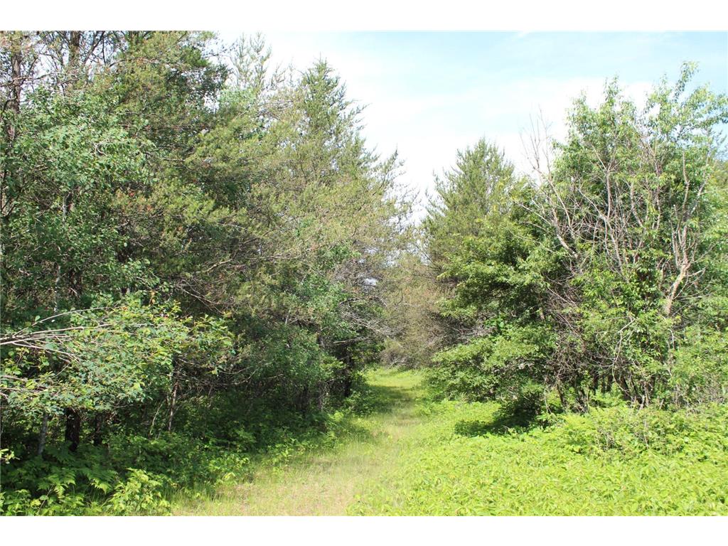 XXX Anderson Road Grantsburg WI 54840 7003587 image19