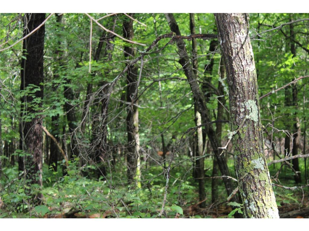 XXX Anderson Road Grantsburg WI 54840 7003587 image20