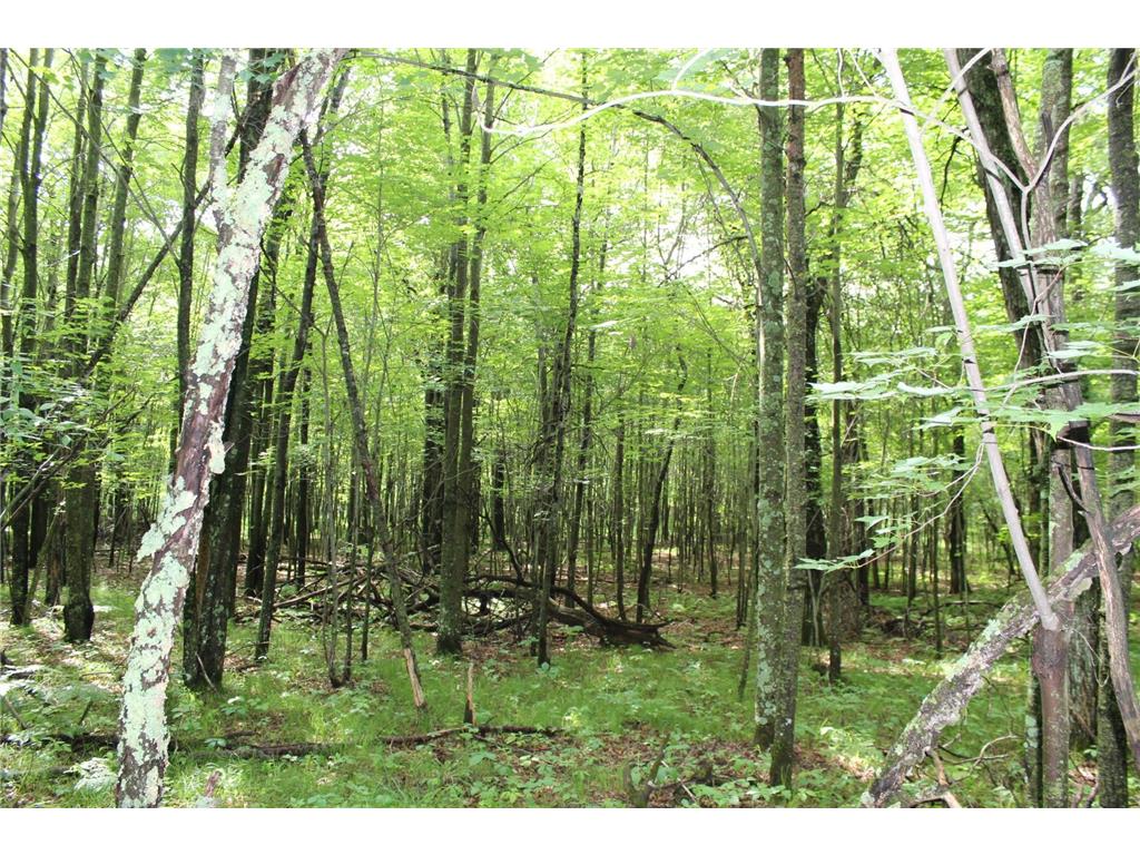 XXX Anderson Road Grantsburg WI 54840 7003587 image21