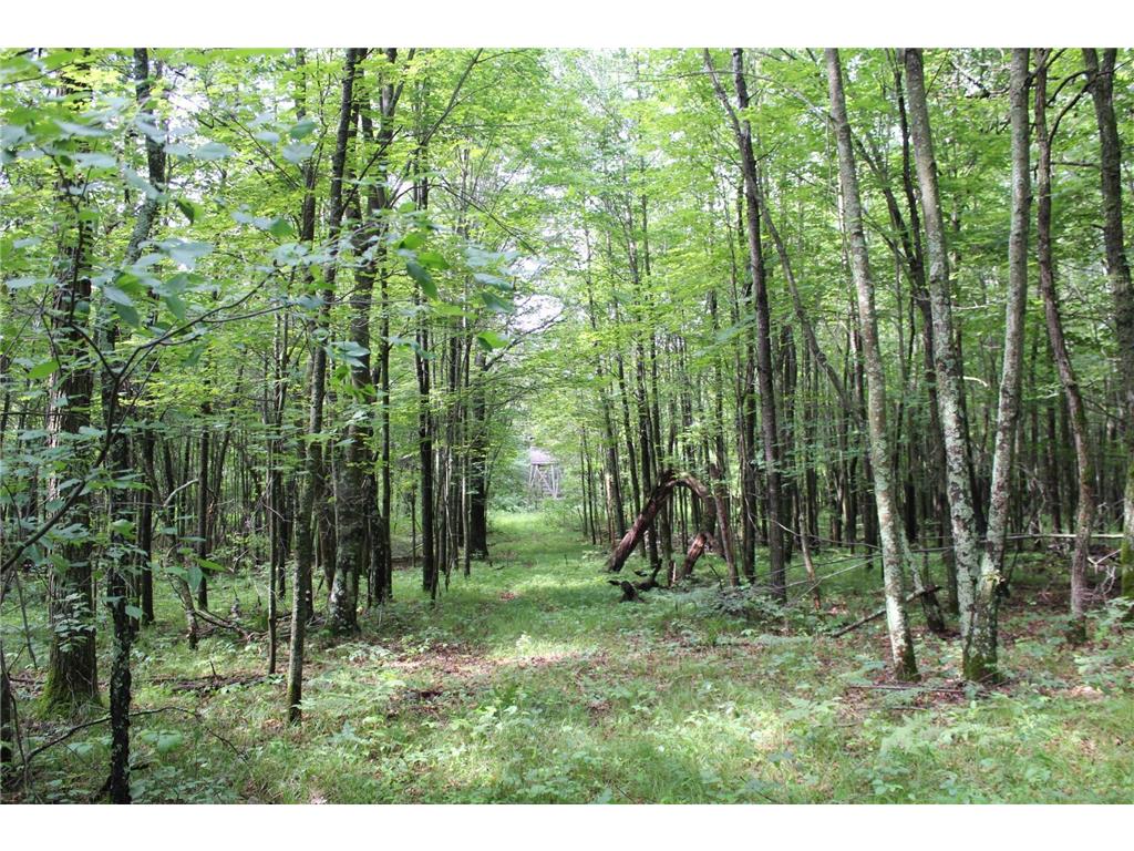 XXX Anderson Road Grantsburg WI 54840 7003587 image22